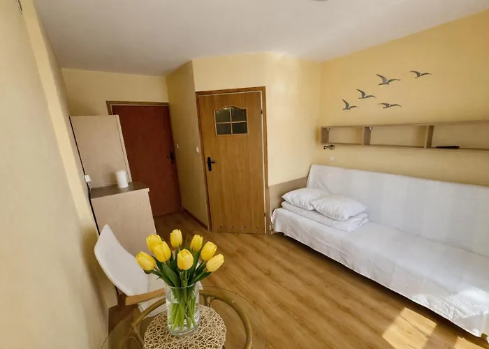 Oliwka Pensionat Chłapowo